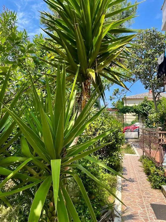 Apartments Jovic Mali Lošinj