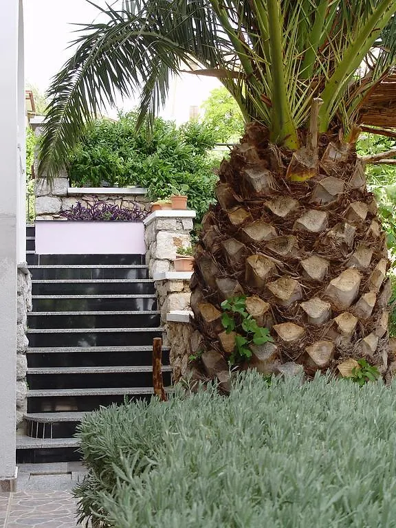 Apartments Jovic Mali Lošinj