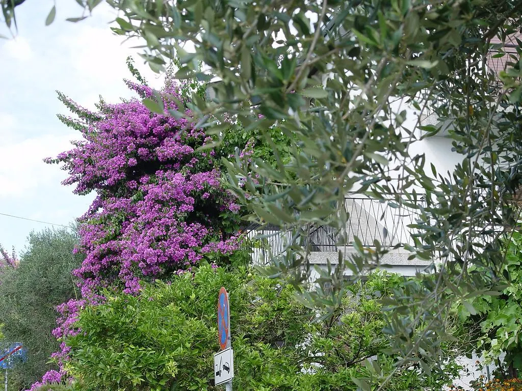 Apartments Jovic Mali Losinj