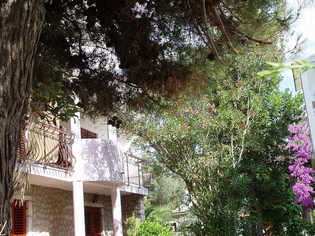 Apartments Jovic